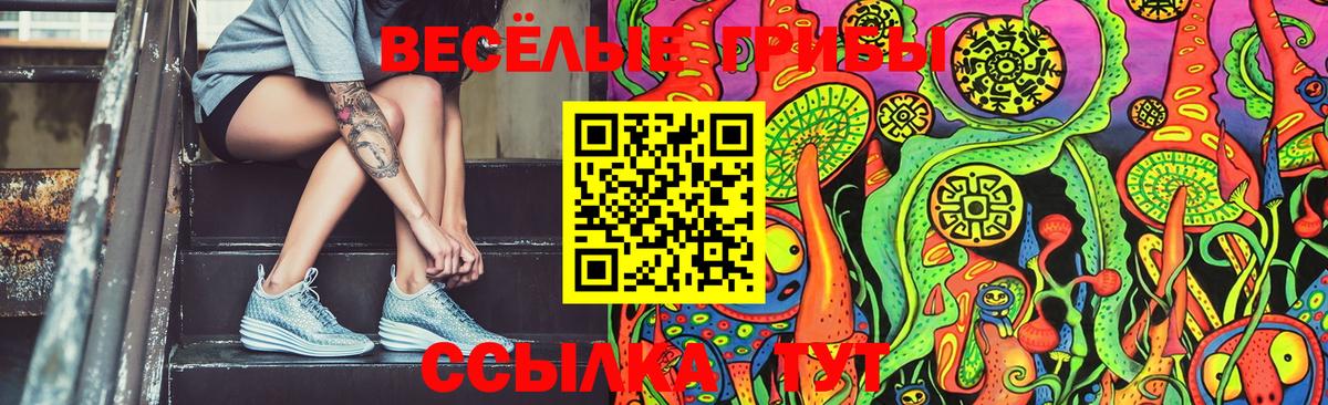 Галлюциногенные грибы MAGIC MUSHROOMS  закладки  Старая Купавна  Вход с VPN 
